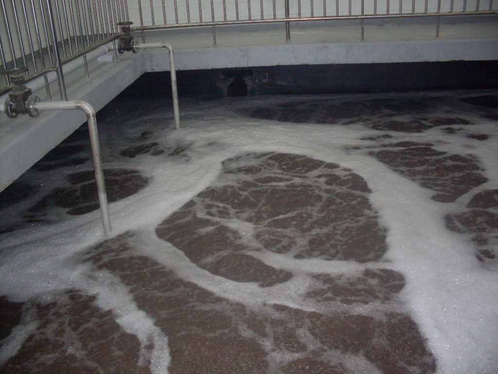 Seoheung Capsule Osong Plant Wastewater Treatment Facility 사진 4