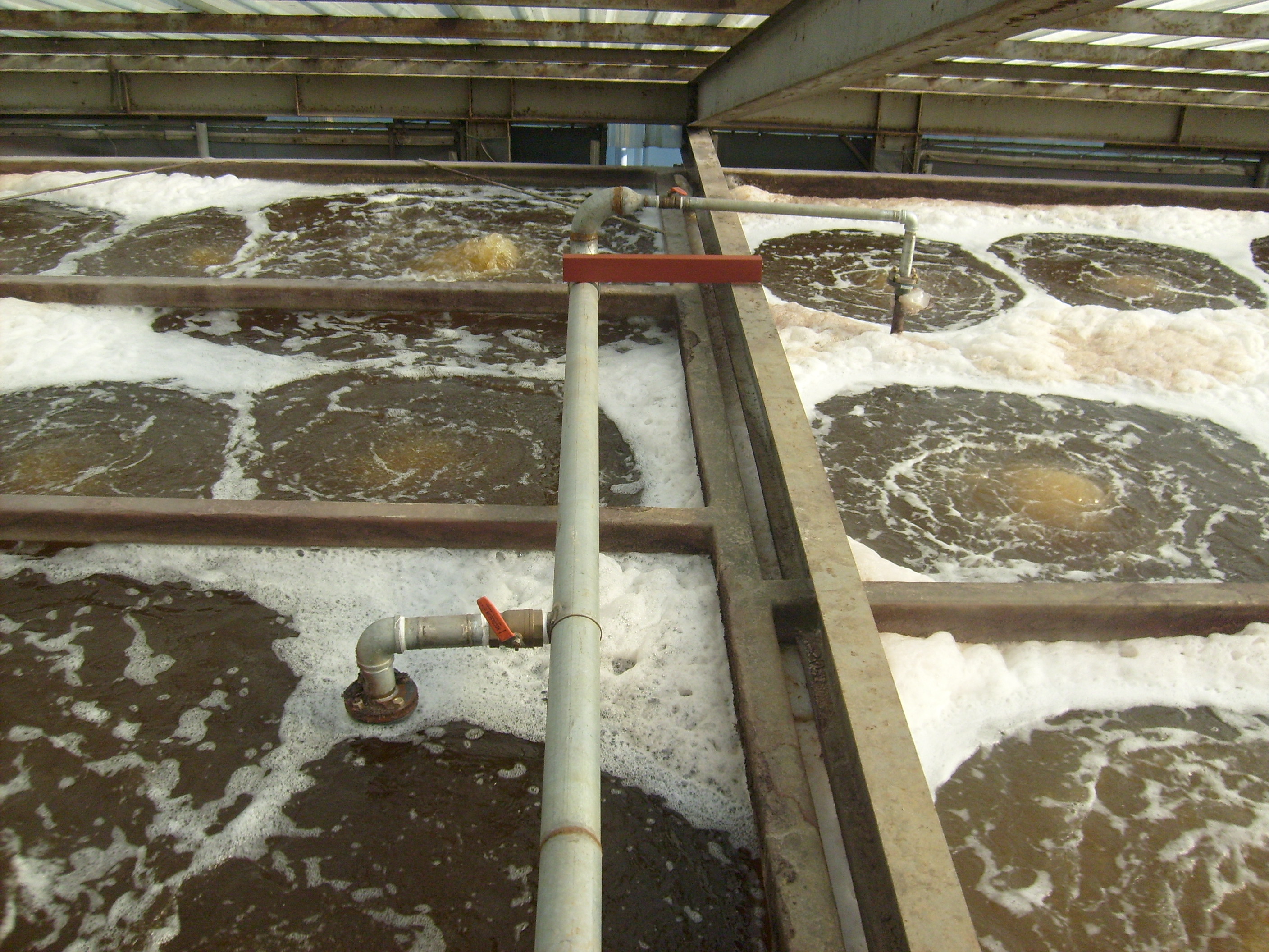 Daelim Paper Wastewater Treatment Facility Upgrade 사진 4