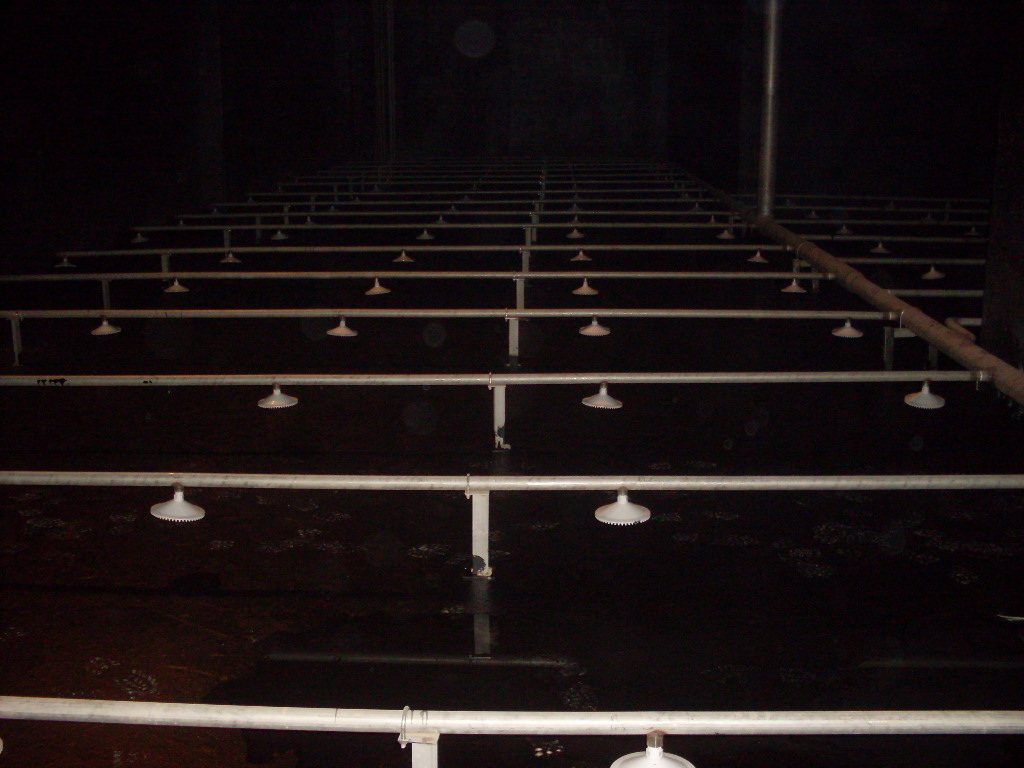 Seoheung Capsule Osong Plant Wastewater Treatment Facility 사진 2
